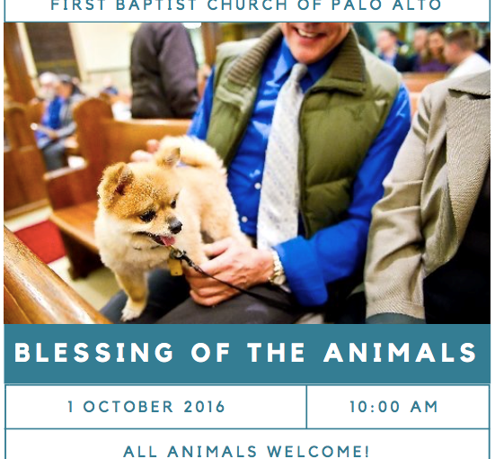 Blessing Animals